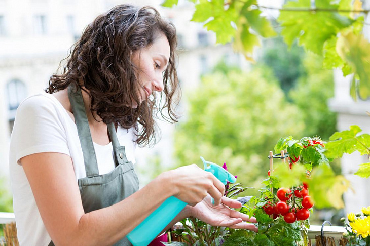 Огород на балконе: идеи, фото, советы для начинающих