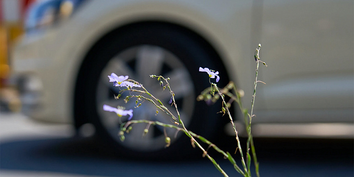 Летние шины: во что переобуться после самоизоляции  