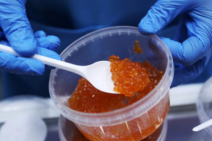 Минвостокразвития объяснило проблемы с красной икрой «плохой путиной»