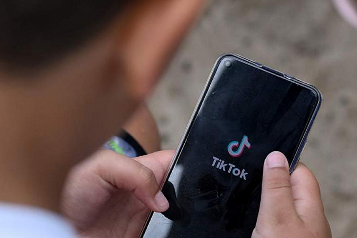 В ГД призвали TikTok внедрить технологию автоматического удаления контента