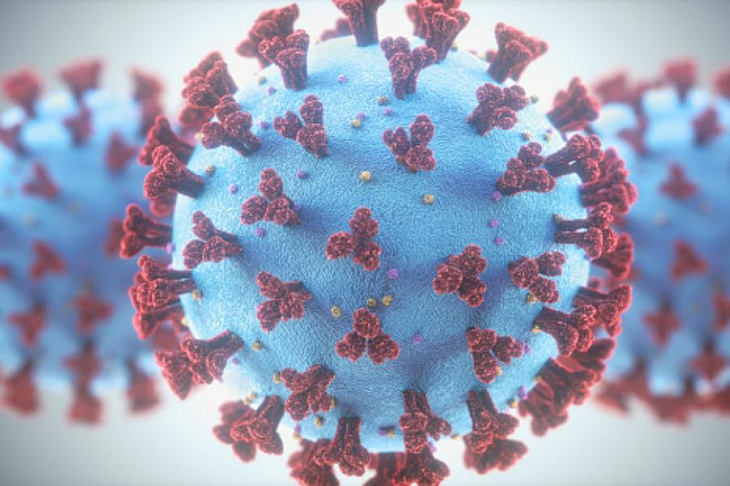 Вирусолог заявил, что мутации коронавируса не делают его опаснее