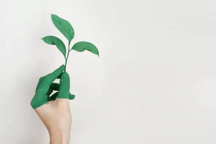 X5 заняла третье место в рейтинге самых экологичных компаний России