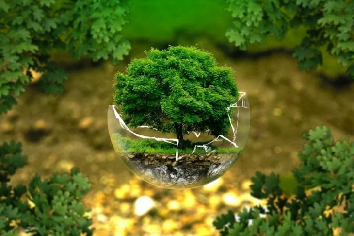 «Икеа» использует в производстве собранные в московских магазинах ПЭТ-бутылки и бумажные стаканчики