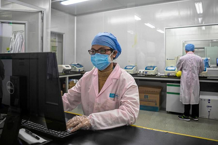 Ученые подтвердили, что коронавирус может передаваться кошкам