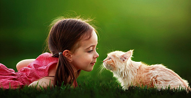 Домашние питомцы и дети