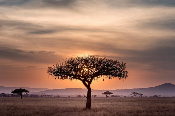 Эксперт: омикрон может быть одним из самых заразных патогенов