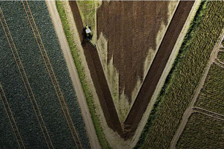 Нисходящая траектория: 10 лидеров падения среди крупнейших частных компаний России