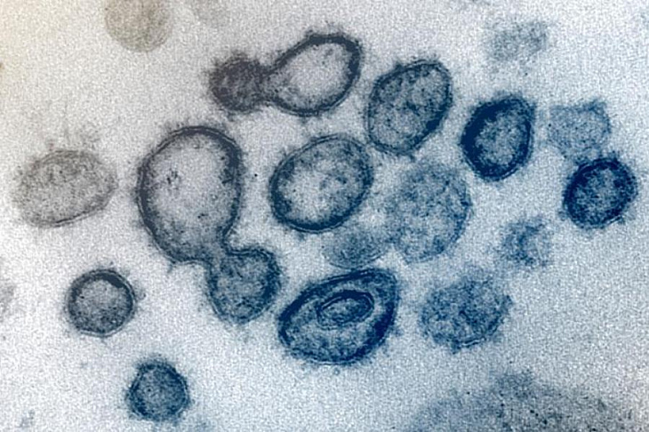 Магнитный занавес: обработанная плазмой вода уничтожит коронавирус