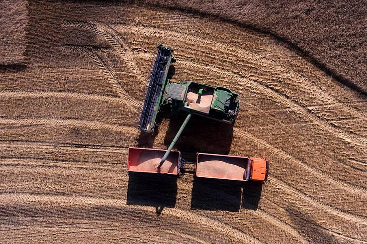 Россия приостанавливает экспорт зерновых до 1 июля