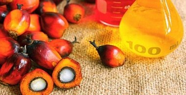 Пальмовое масло: вред или польза?