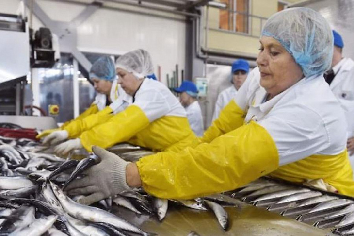 Рыбаки тянут квоты