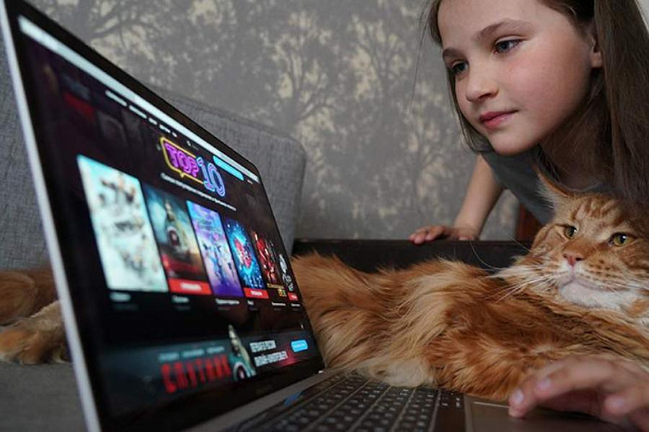 Лига безопасного интернета предложила меры по регулированию онлайн-кинотеатров