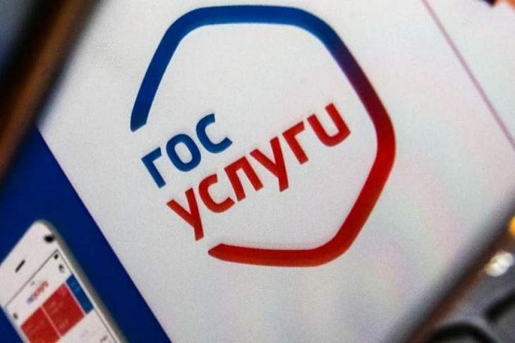 Эксперт объяснил появление 48 клонов «Госуслуг» после введения нерабочих дней