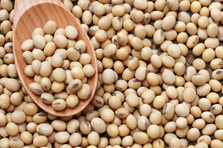 Соевые бобы оказались источником лекарства против слабоумия