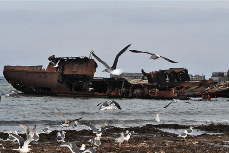 Дети капитана утильгранта