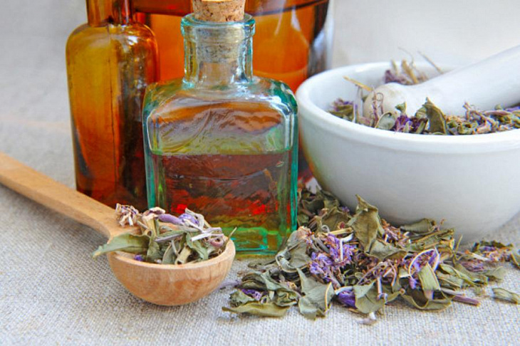 Врач рассказала о лекарственных травах для повышения иммунитета