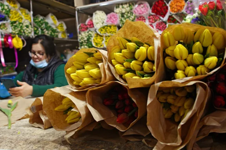 За дам наперед