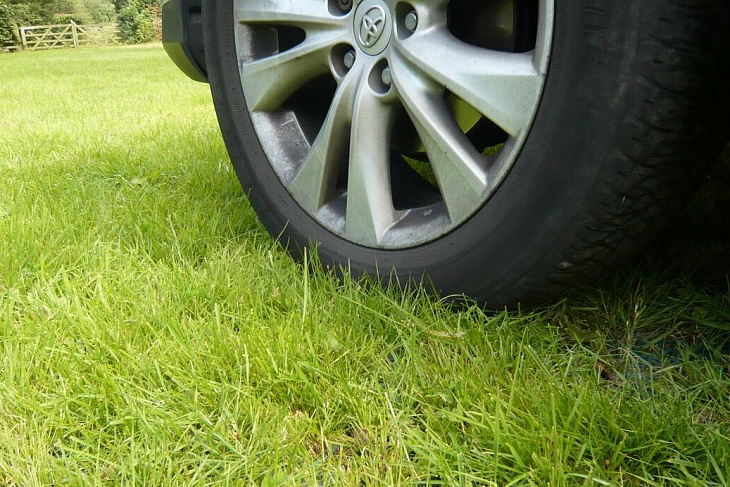 На дворе - трава