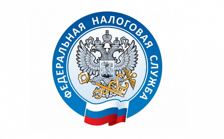 ФНС: самозанятые вывели из тени 130 млрд рублей