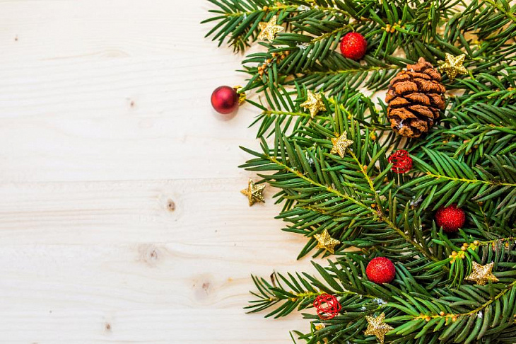 Продажи новогодних елок и игрушек в России выросли на 27%