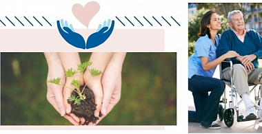 6 самых необходимых видов страхования. Какая страховка действительно полезна