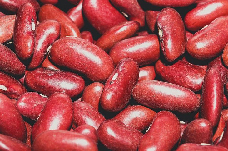 Растительный белок продлевает жизнь