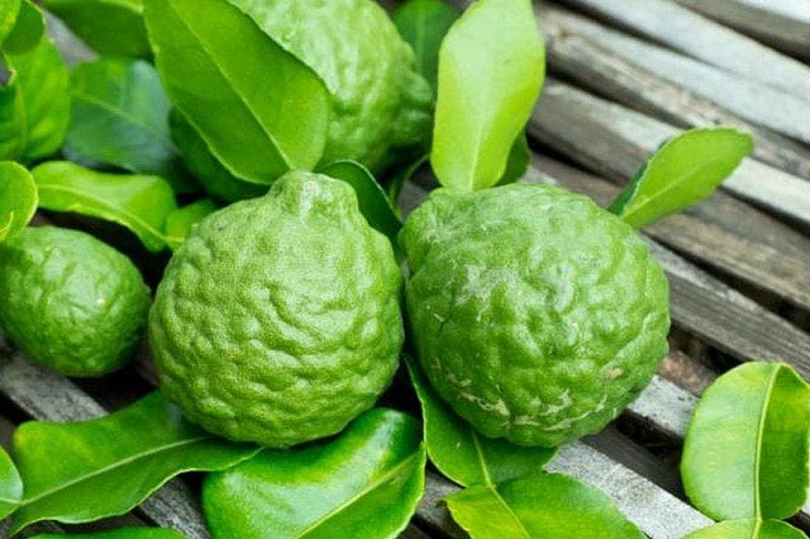 Бергамот оказался мощным противораковым средством